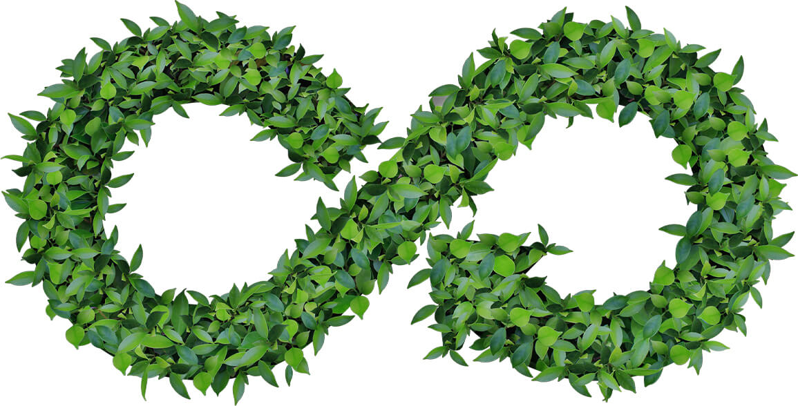 溫室氣體排放第三方核查結果